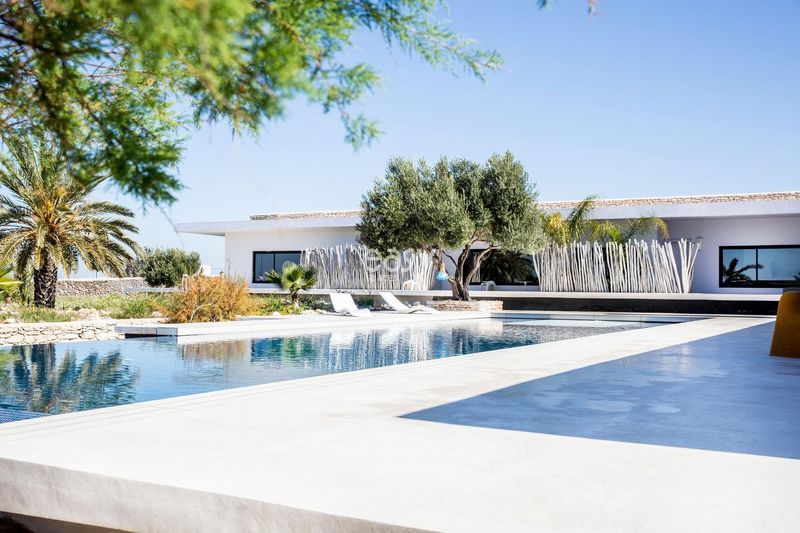 decor suitable for a professional photo shoot set in the vibrant and diverse landscapes of Morocco